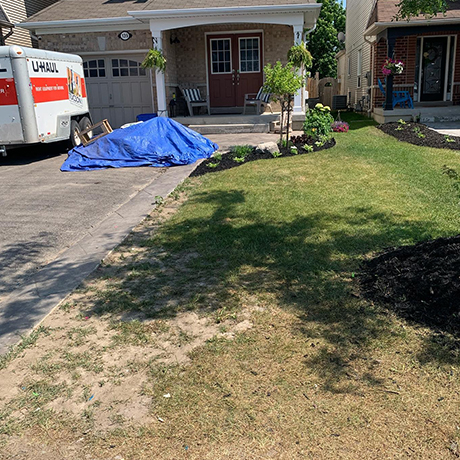 Why Choose Our Landscaping and Hardscaping Services