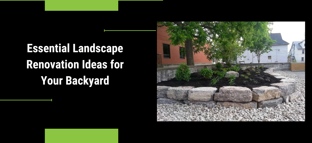 How to Create a Budget-Friendly Landscaping Design