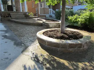 Pavers Installation around Tree by Green Crew Contracting Inc for exquisite look