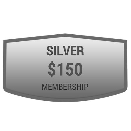 silver-$150