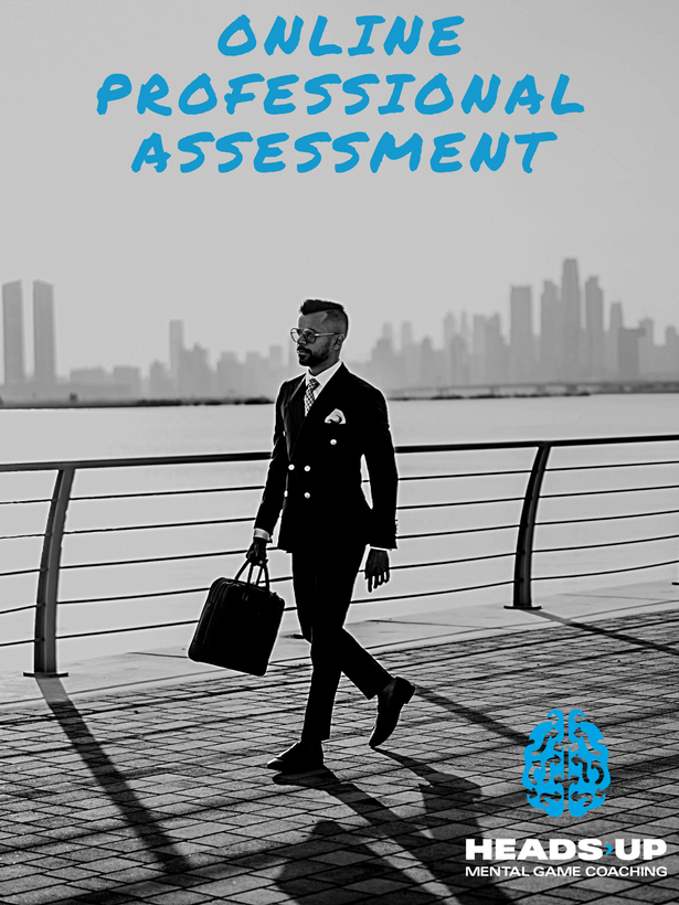 Online Professional Assessment 2