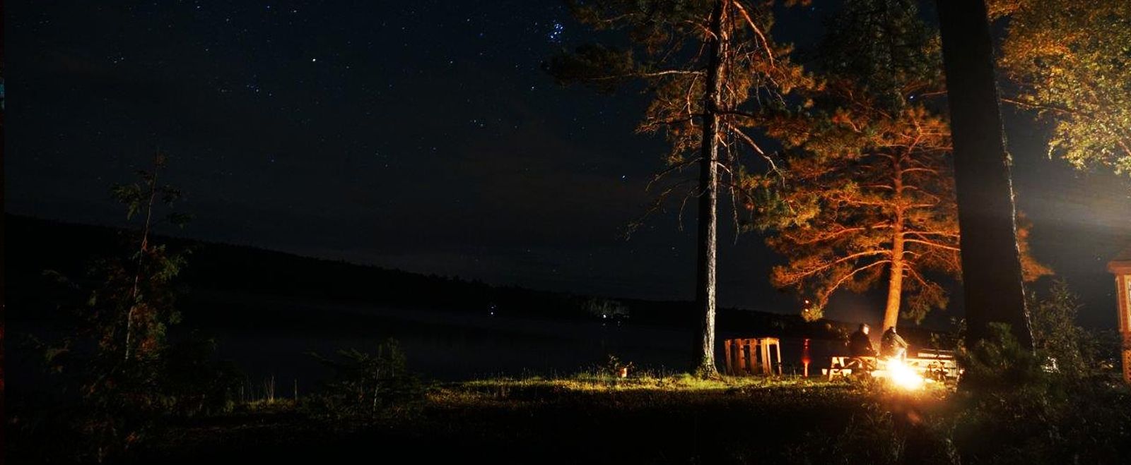 Dan Pinckard Muskoka Real Estate Professional Huntsville Real