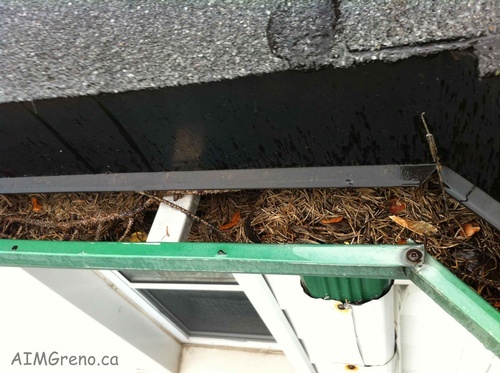 Gutter Cleaning North York - AIMG Inc