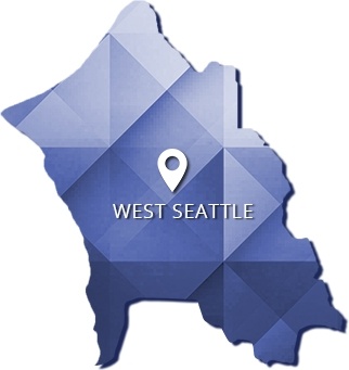 business consulting West Seattle Washington