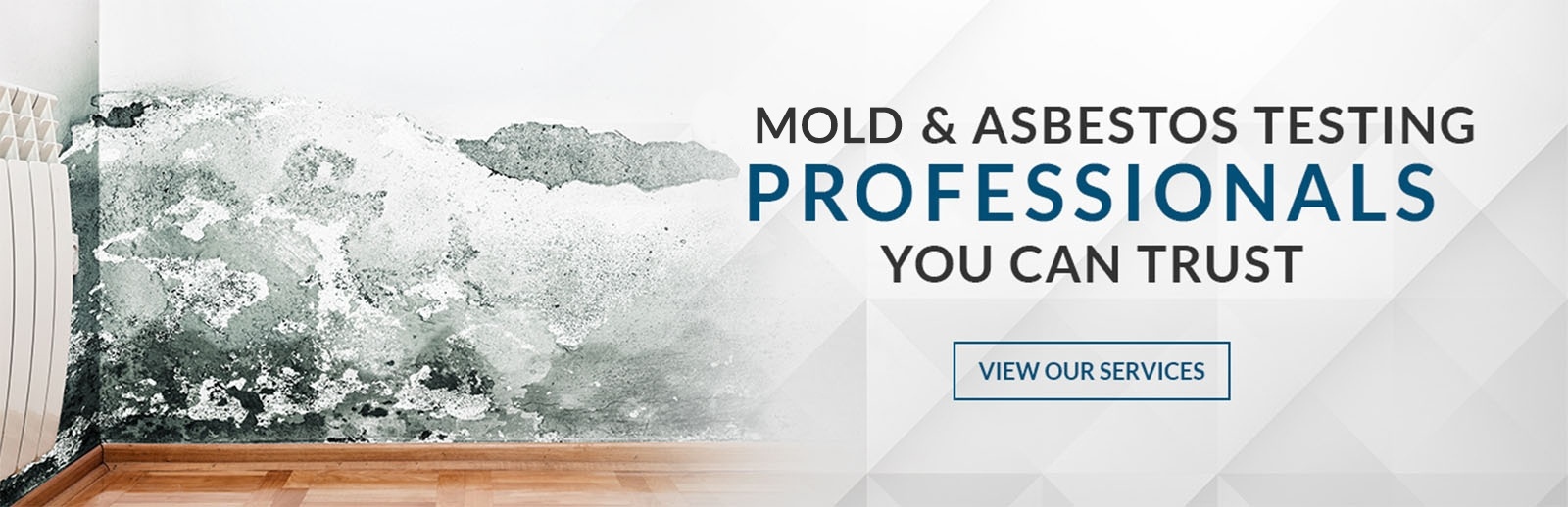Elementary Property Inspections - Mold Inspection Services in Niagara, ON