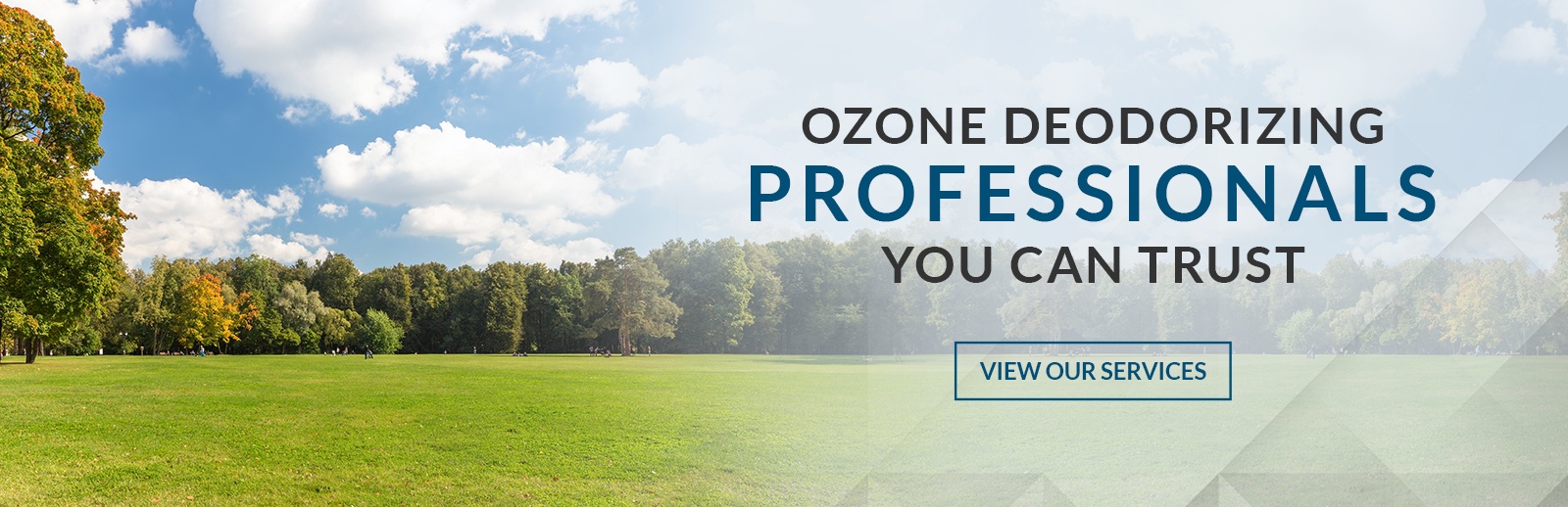 Ozone Deodorizing Services in Niagara by Elementary Property Inspections