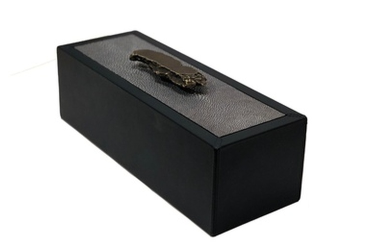 Leather and Shagreen Box With Abstract Bronze Handle at the Silver Peacock Inc