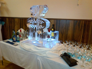 Best Ice Luge Bar by Festive Ice Sculptures in Cambridge