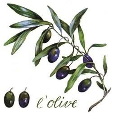 Napkins - Olive Branch Pack of 20