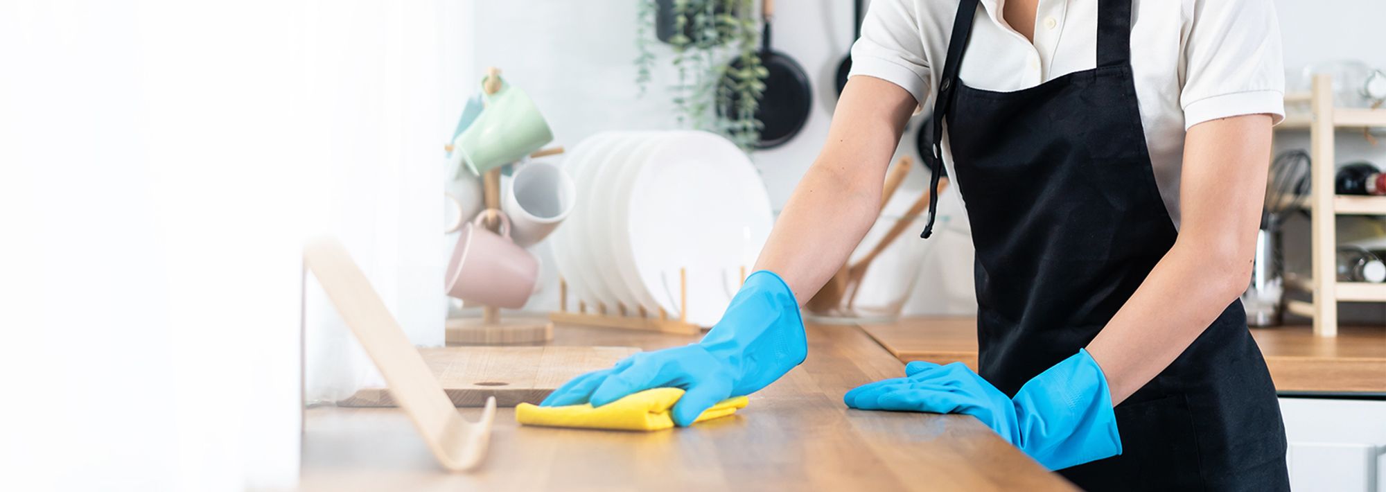 Custom cleaning services