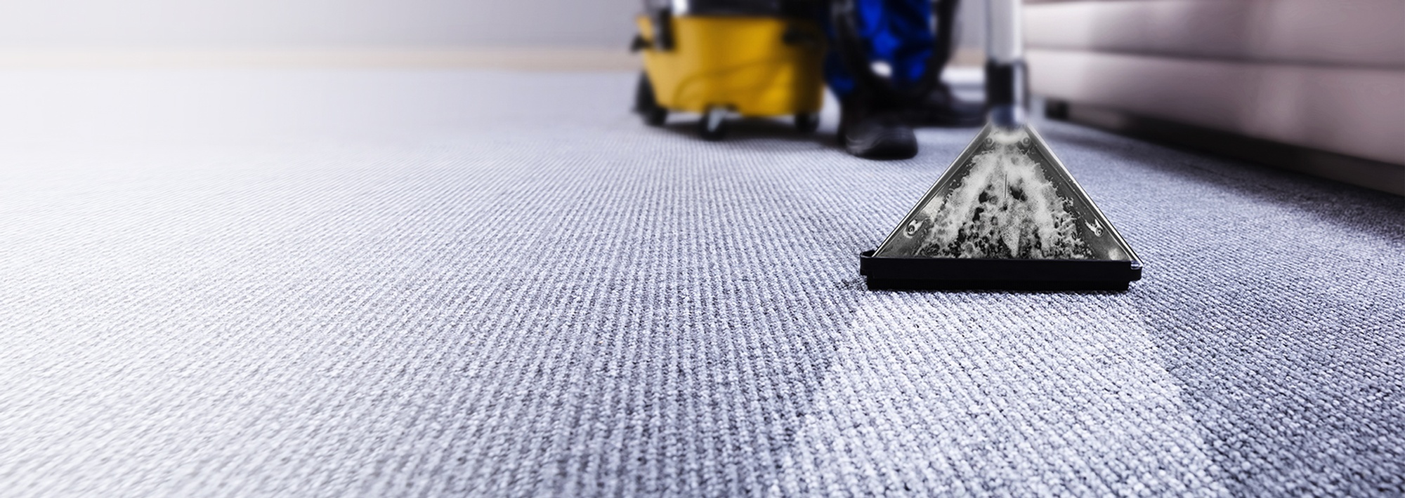 carpet and rug cleaning services