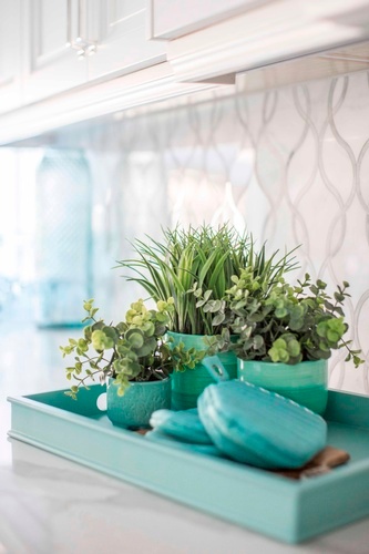 Indoor Plants - Kitchen Renovation Stouffville ON by Royal Interior Design Ltd