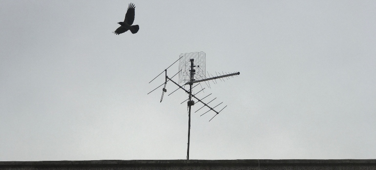 A roof antenna that is not included in a home inspection, with the bird flying over it.