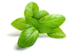 Buy Herbs Online at Fresh Start Foods - Fresh Herbs