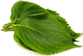 Buy Herbs Online at Fresh Start Foods - Fresh Herbs