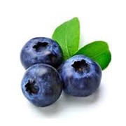 Buy Berries Online at Fresh Start Foods