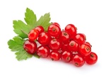 Buy Berries Online at Fresh Start Foods