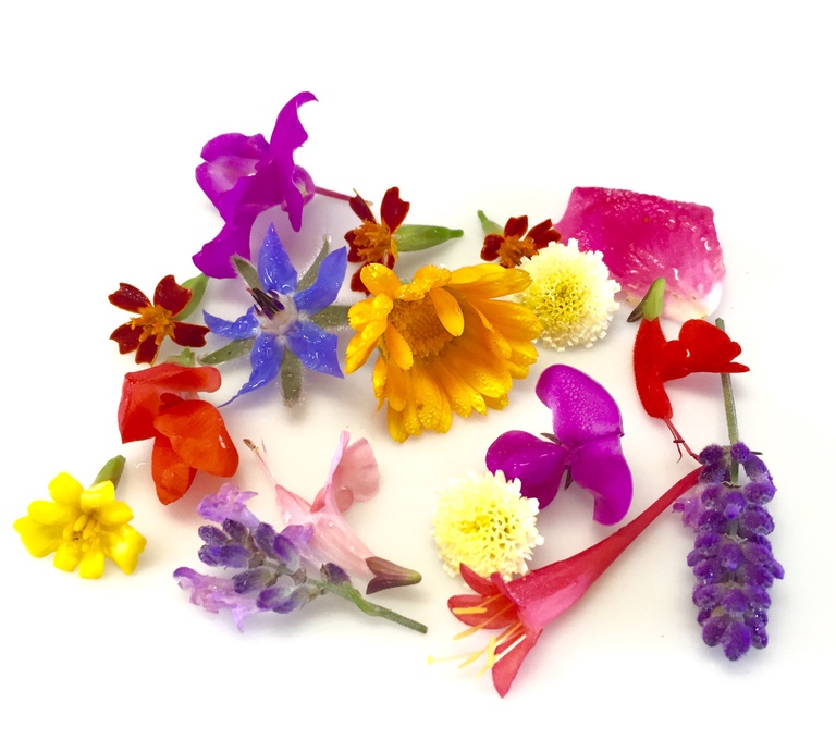 Buy Edible Flowers Online at Fresh Start Foods - Specialty Products Quebec