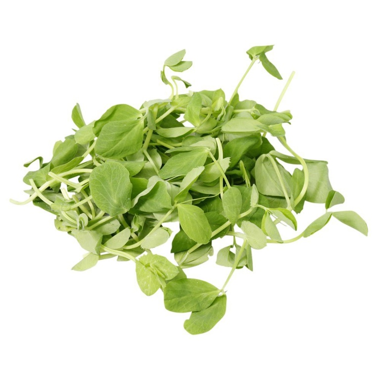 Buy Microgreens and Sprouts Online at Fresh Start Foods - Specialty Products British Columbia