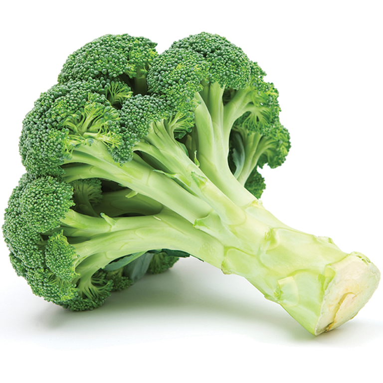 Buy Broccoli Online at Fresh Start Foods - Seasonal Vegetables