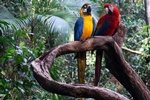 Perfect location for destination wedding or honeymoon for love birds in Colombia