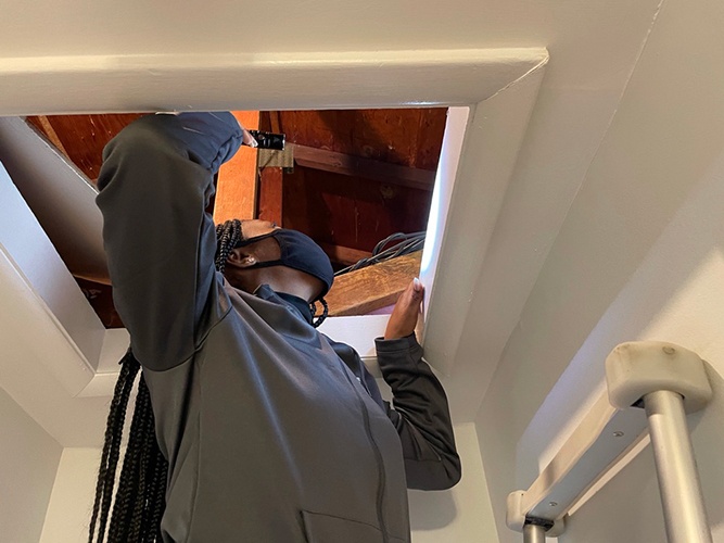 Going-into-attic-for-inspection