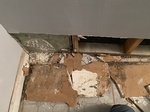 Mold-behind-drywall-1