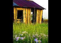 A deserted wooden cabin in the middle of a field - Joe Robbins Photography