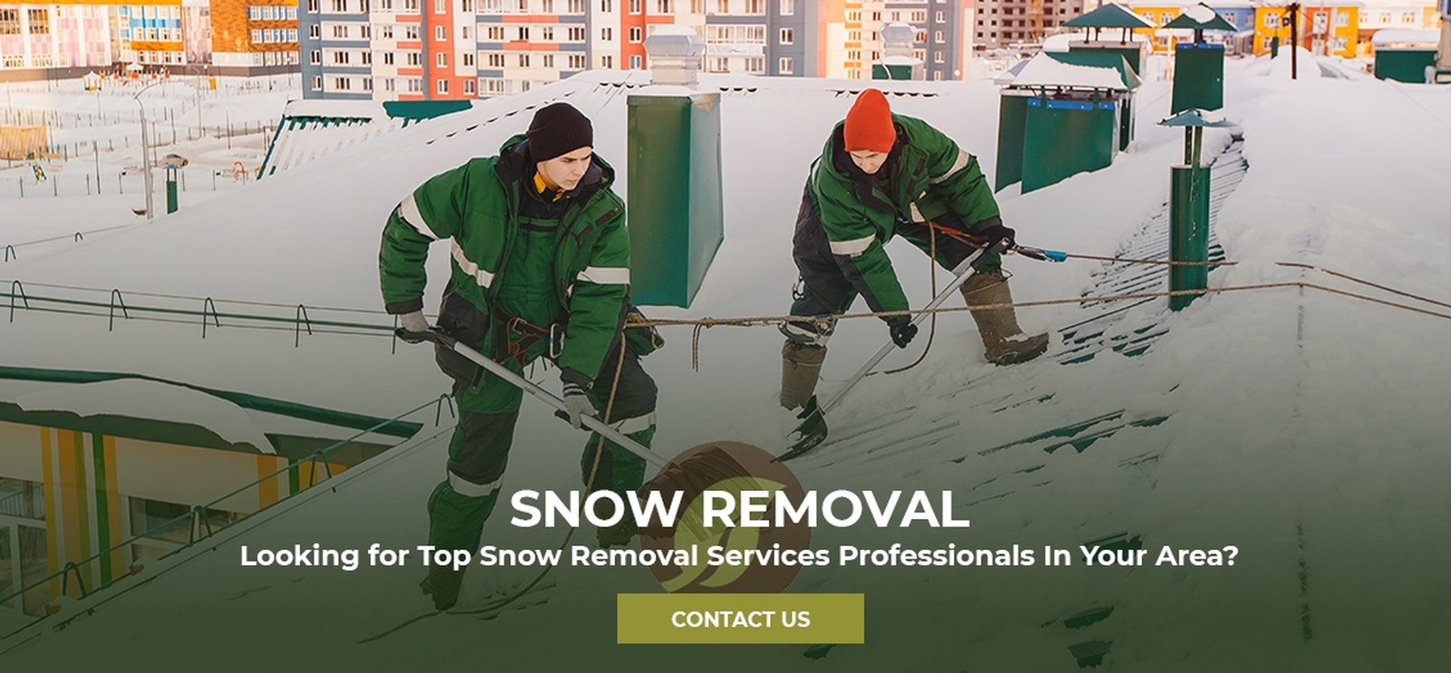 Snow Removal Services 