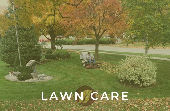 Lawn Care Clinton ON