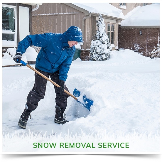 Lawn Services in Calgary