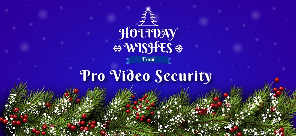 Pro-Video-Security (1).jpg