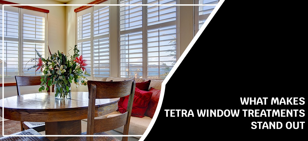 Tetra-Window----Month-2---Blog-Banner.jpg