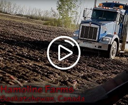 Canadian Agriculture - Hamoline Farms