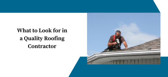Roofing Services Hamilton