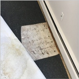 Carpet Odour Removal Edmonton