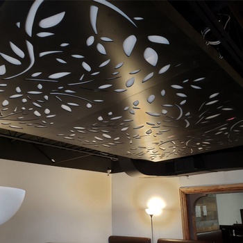 Custom ceiling panel