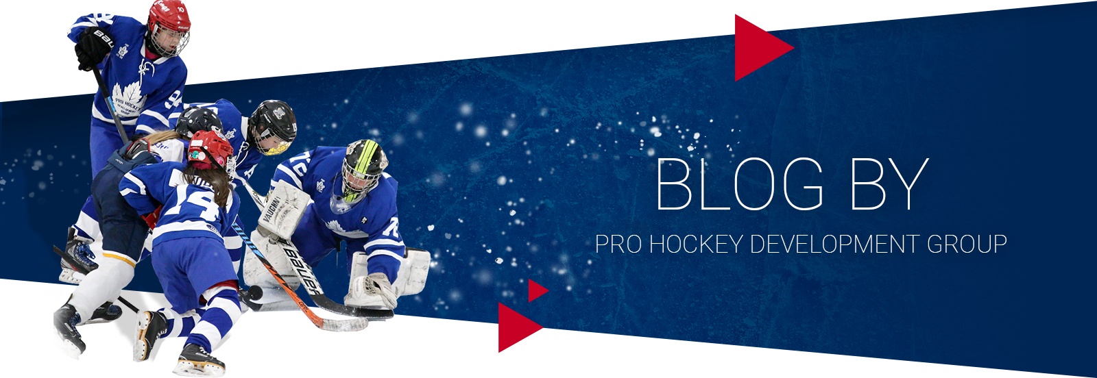 Pro Hockey Development Group Blog