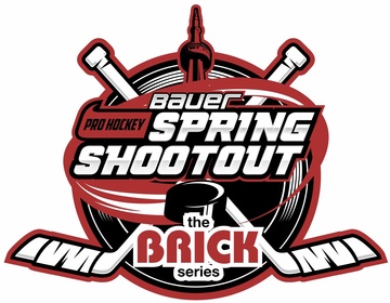 The BRICK Series - Boys Hockey Training USA by Pro Hockey Development Group