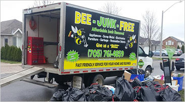 how it works - Bee Junk Free