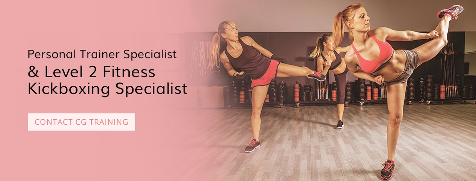 Our Personal Fitness Trainer and Kickboxing Specialist offers Personal Fitness Training in Windsor