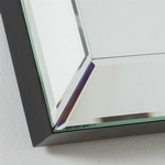 Wall Mounted Mirror - Buy The Royal Mirror on Mirror at In Style Furniture Gallery