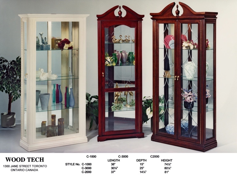 Buy Curio Display Case - Affordable Modern Furniture Toronto - Condo Furniture at In Style Furniture Gallery