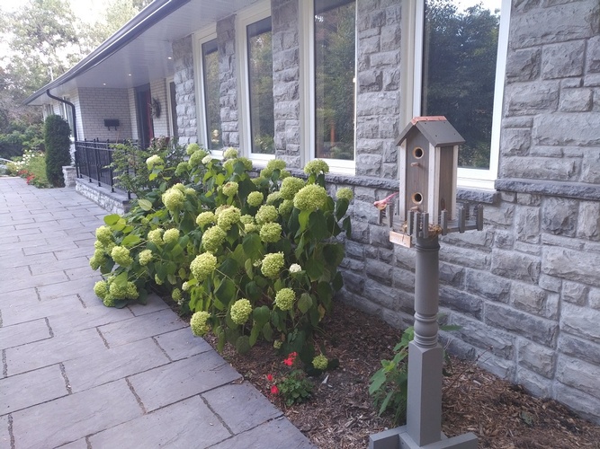 Assisted Living Residence Richmond Hill ON with Garden - Memory Lane Home Living Inc.