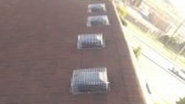 Rooftop Traps by Tdot Wildlife Removal for Squirrel Removal Brampton - Tdot Wildlife Removal 