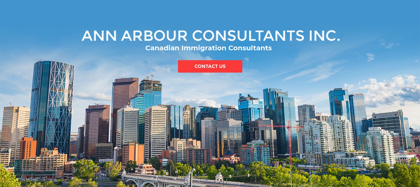 Ann Arbour Consultants Inc.