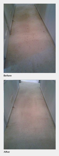 A Dusty Carpet After its Cleaned - Dry Cleaning Atlanta by Preferred Carpet Cleaning and Floor Care