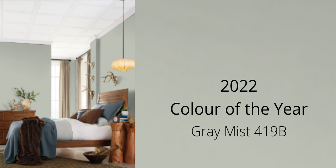  2022 Colour of the year Gray Mist 419B