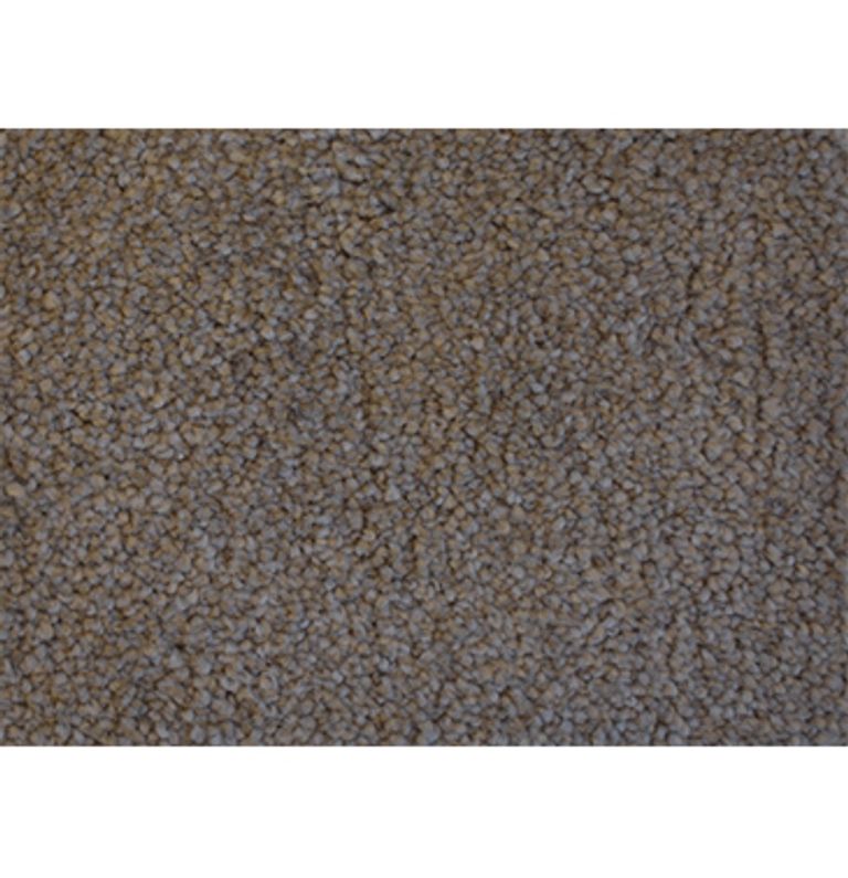 Bert Vis Flooring Inc. Products Carpet Underpad Carpet Tempt 733 Compel 12’