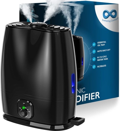 Everlasting Comfort Cool Mist Humidifier for Bedroom (6L)